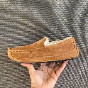 Ugg  Ascot Chestnut
